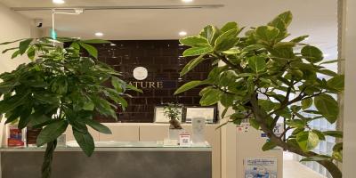 デンタルサロン ナチュール銀座