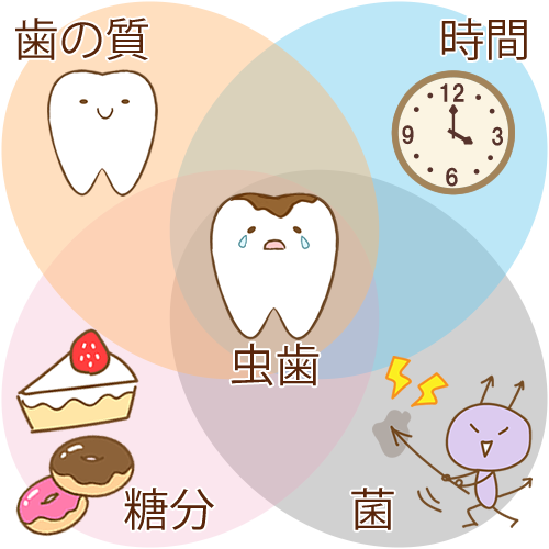 初期虫歯は削らず治せる?効果的な予防と治療法を解説