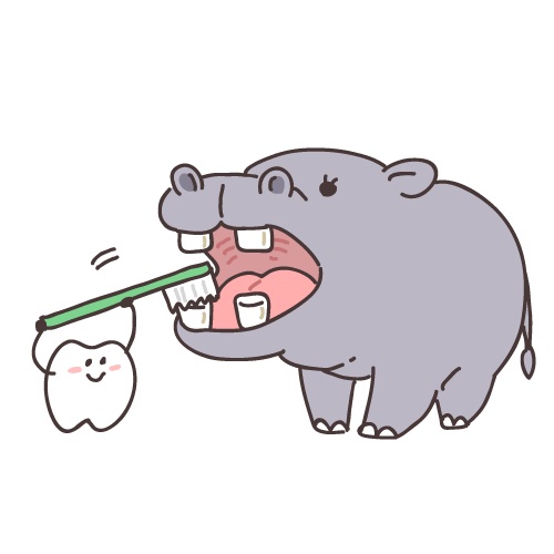 薬物性歯肉増殖症とは？症状・治療法・予防法を解説