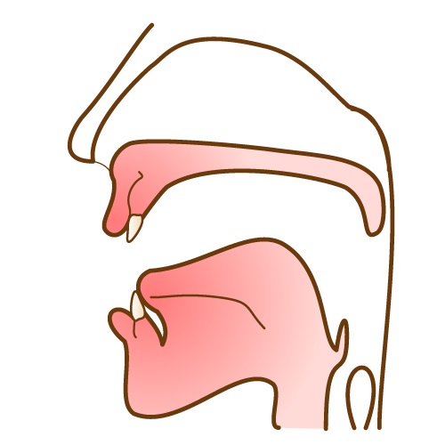 横向き寝での咬合への影響とは?健康リスクを回避するためのアドバイス